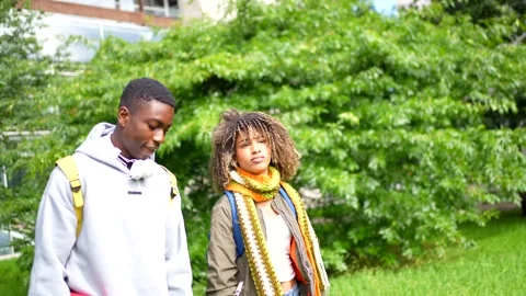 Diverse students talking and sharing mobile standing outside the university Stock Footage 285117887