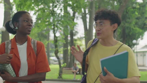 Diverse Students Walking and Chatting in Park Stock Footage 231804567