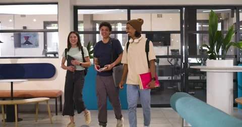 Diverse students walking into lounge, stopping, discussing notebooks for class Stock Footage 344850878