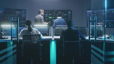 Diverse team of IT technical specialists and software managers work with Video stock 244411355