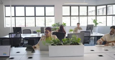Diverse team at office, man entering and woman in blazer typing laptop using Stock Footage 344404653