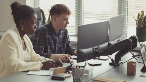 Diverse Team of Young Programmers Working in Office Stock Footage 219310619