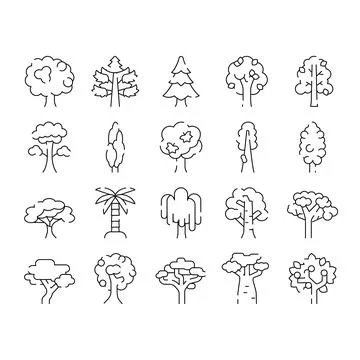 Diverse tree species creating nature outline icons collection Stock Illustration