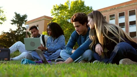 Diverse university students studying together on campus lawn Stock Footage 317849906