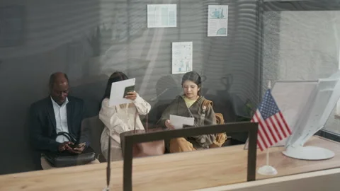 Diverse Visa Applicants Waiting in Queue for USA Embassy Appointment Stock Footage 331513618
