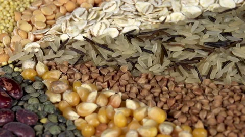 Diversity of Crops Video stock 47576160