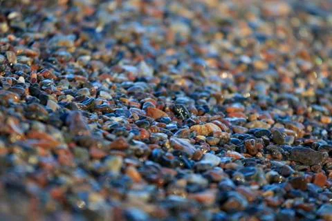 Diversity of pebble Photos