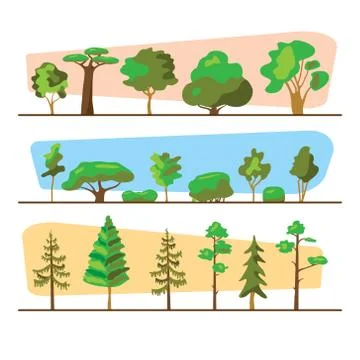 Diversity of trees set on white Stock Illustration