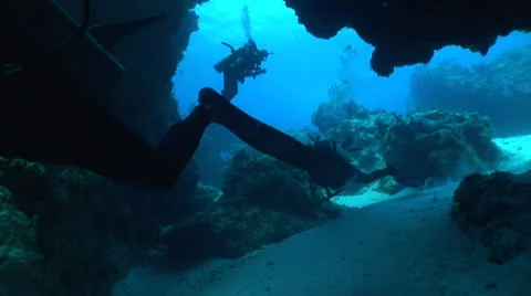 DiversPassCozumel Stock Footage 36374943