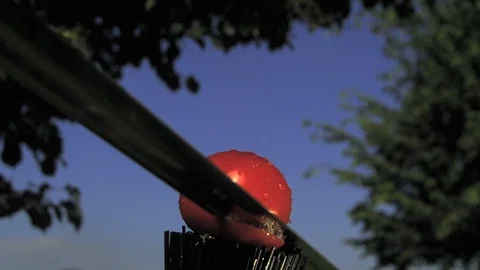 Divide Tomato with sword.Ultra slow motion hispeed  5000fps. Stock Footage 92912802