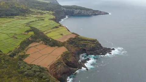 Divided meadows and rocky cliff. Ocean waves wash stones on a shore. Aerial of 스톡 동영상 117770576