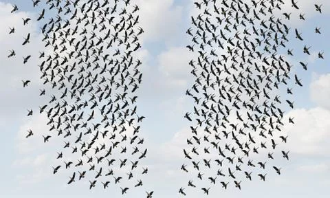 Divided Opinion Stock Illustration