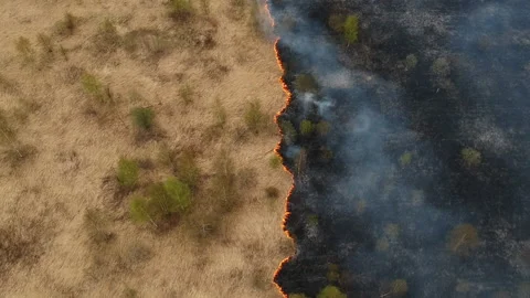 Divided into two by the fire line in the middle. Epic aerial footage of smoking Video stock 154432694