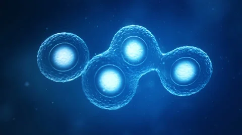 Dividing and multiplying Cells Stock Footage