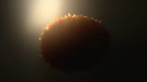 Dividing cells animation series. Stock Footage 74896678