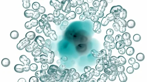 Dividing stem cells and virus in lab,bubble and herpes under microscope,mucilag Video stock 8656151