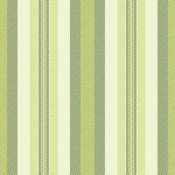 Dividing vector texture lines, graphical background pattern vertical. Luxur.. Illustrazione stock