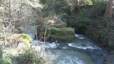 Dividing waterfall Video stock 125681970