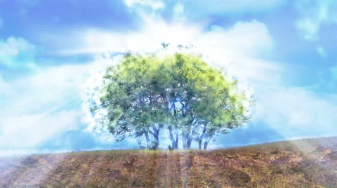 Divine intervention - ecological thunder. Stock-Footage 29540812