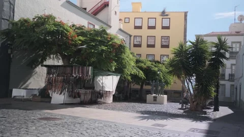 The Divine, memorial statue Stock Footage 255484824