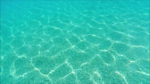 Diving 1 Видео 162132468