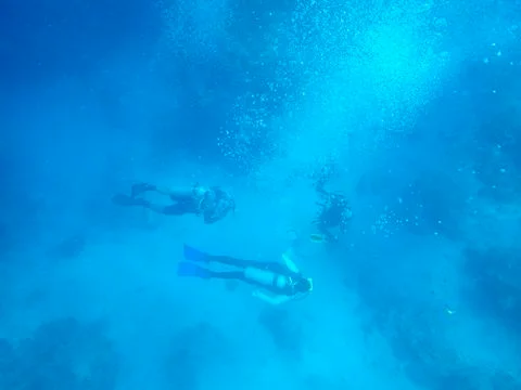 DIVING ACTIVITY Stock Photos