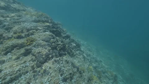 Diving along cliffs in the depths of Greece Stock Footage 340135581