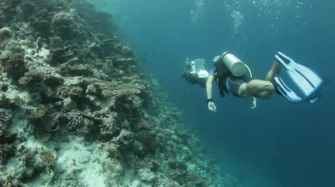 Diving along coral reef Stock Footage 10788216