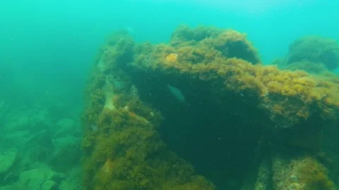 Diving along the hull of a sunken ship at sea Stock Footage 130845347