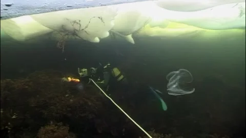 Diving into the Arctic Abyss under White Sea Ice Floes in Winter Video stock 314132478