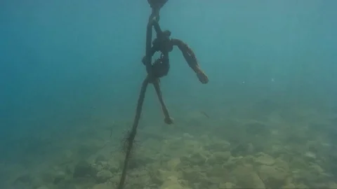 Diving around old buoy with hole in the middle, northern Croatia Stock Footage 92933819