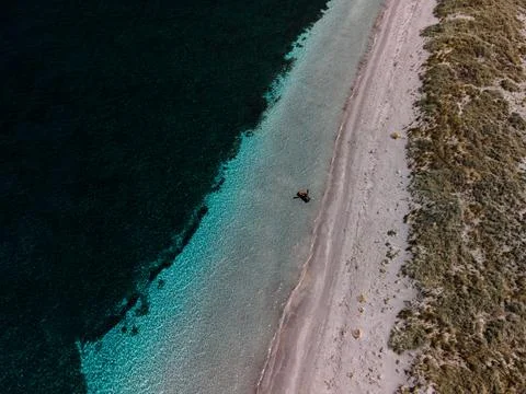 Diving in Australia 스톡 사진