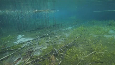 Diving in a beautiful underwater environment in a pool Stock Footage 340137288