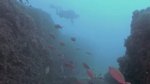 Diving between rocks Video stock 150471997