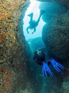Diving between the walls of underwater canyon Stock Photos