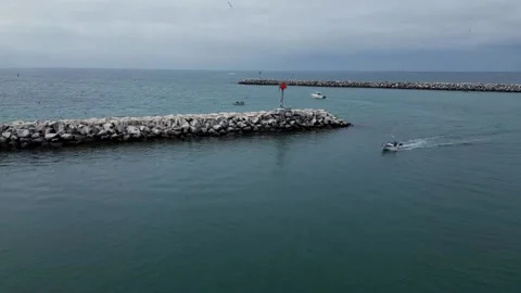 Diving bird caught a fish at Dana Point Harbor Stock Footage 205301853