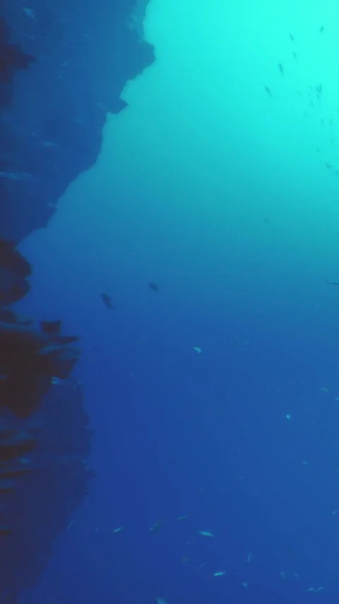 Diving in blue ocean waters near rocky formations with marine life Stock Footage 342132274