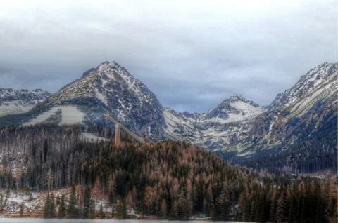 Diving Board Foto stock