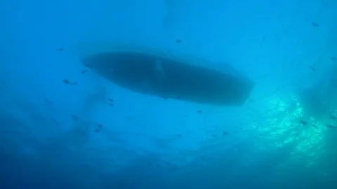 Diving boat seen from below to discover shipwreck Thistleghorm, Red Sea, Egypt Stock Footage 105428833