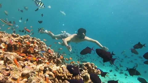 DIVING BOY Stock Footage 276476509