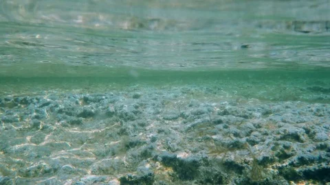 Diving Camera 4 Vídeo Stock 82869005