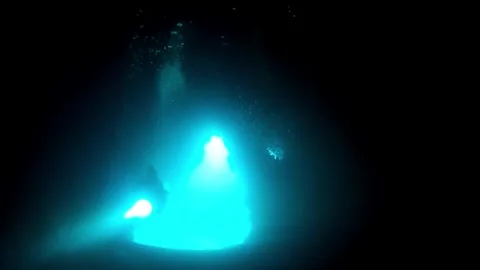 Diving in the cave-south andaman Stock Footage 247232740