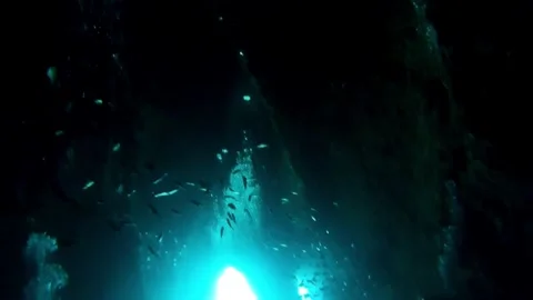 Diving in the cave-south andaman2 Video stock 247232732