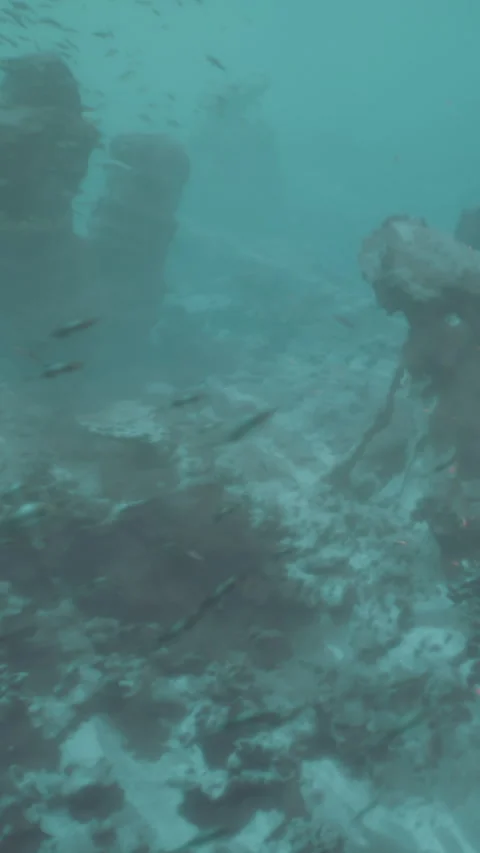 Diving in a clear ocean revealing marine life and underwater structures Stock Footage 342124309