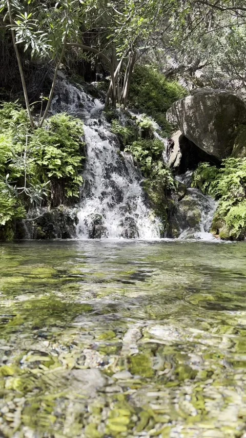Diving into clear waterfall water in a lush green forest Vídeo Stock 320516572
