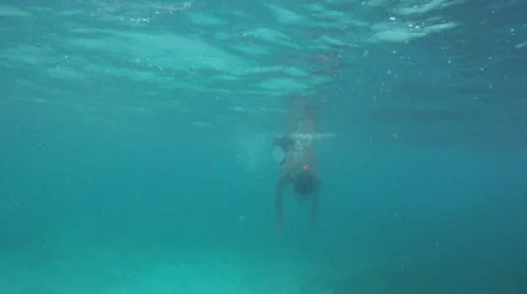 Diving for Conch Shells Stock Footage 7903214