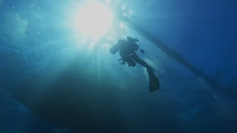 Diving corals pacific ocean diving underwater Stock Footage 242877491