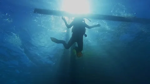 Diving corals pacific ocean diving underwater 库存影片 242877506