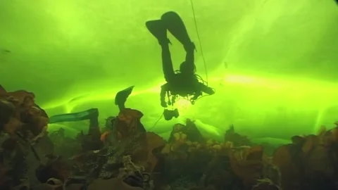 Diving deep into arctic waters of the white sea in winter Stock Footage 312488820
