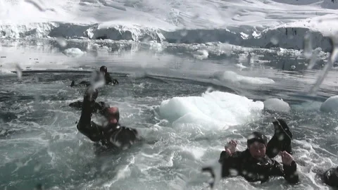 Diving Deep Into Glacial Waters of Icy Antarctica Stockbeeldmateriaal 321062506